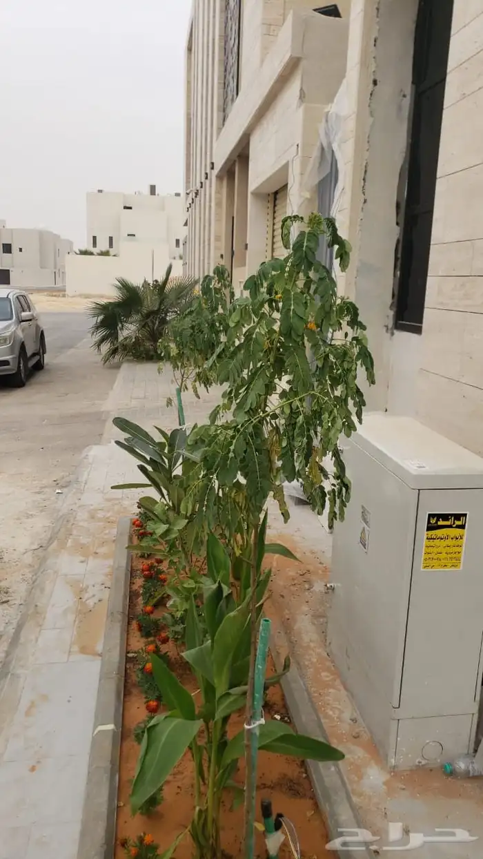 زراعه احواض زراعيه 9