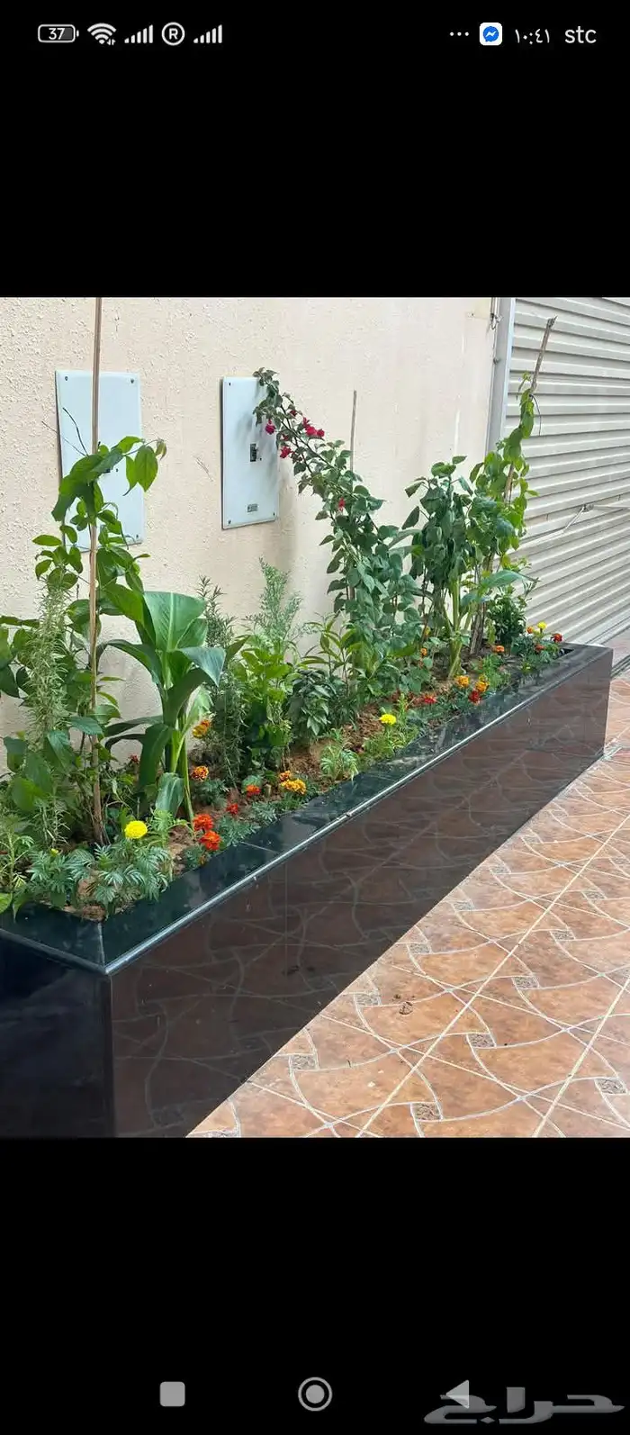 زراعه احواض زراعيه 5