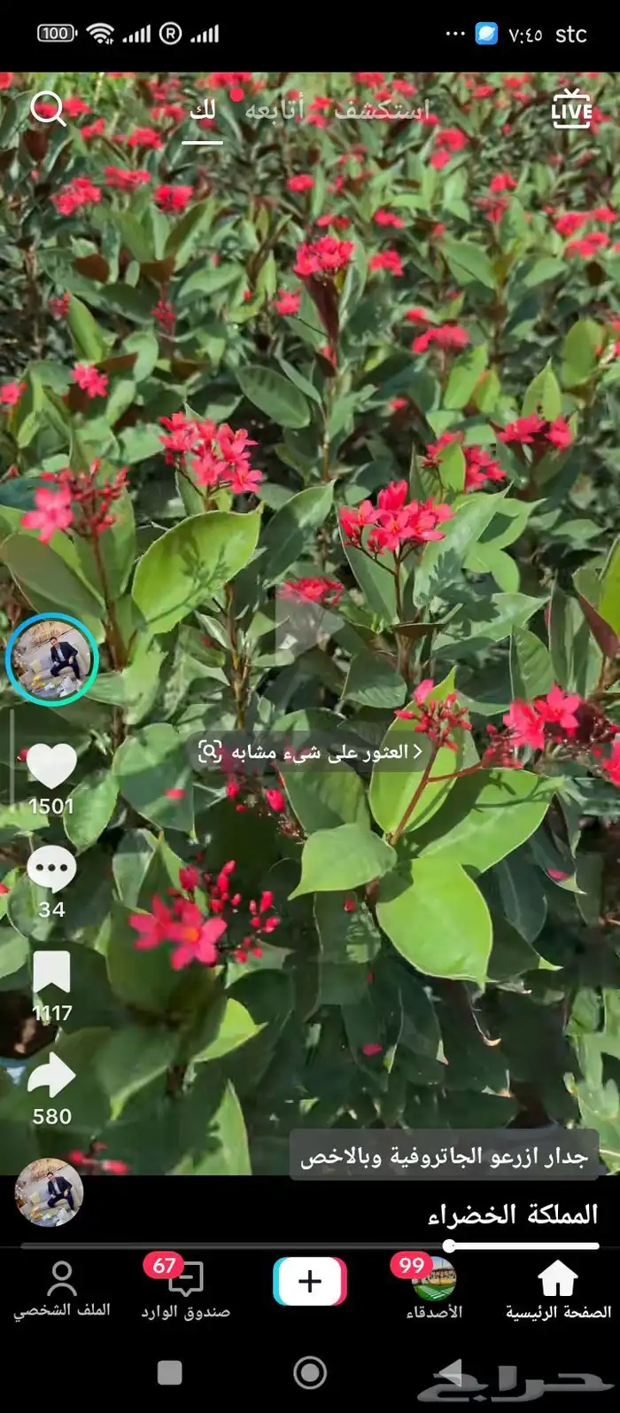 زراعه احواض زراعيه 7