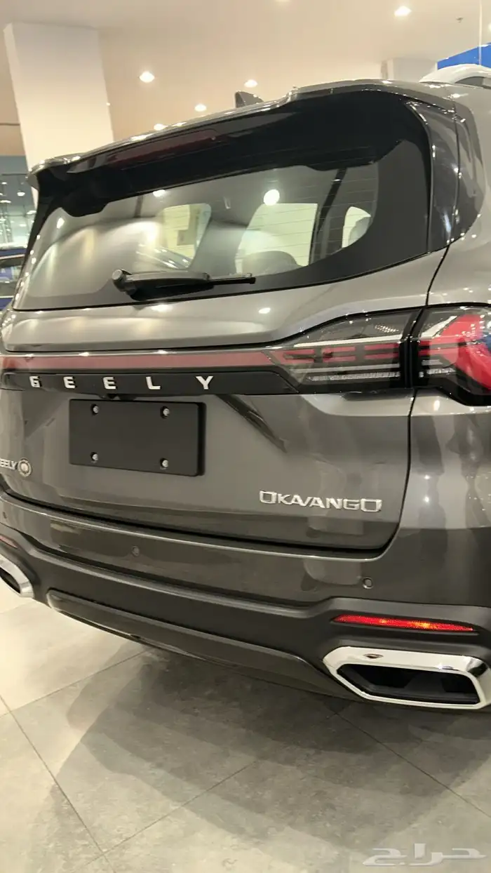 جيلي اوكافانجو 2025 2