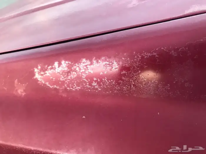 كيا كرنفال 2014 فل 9