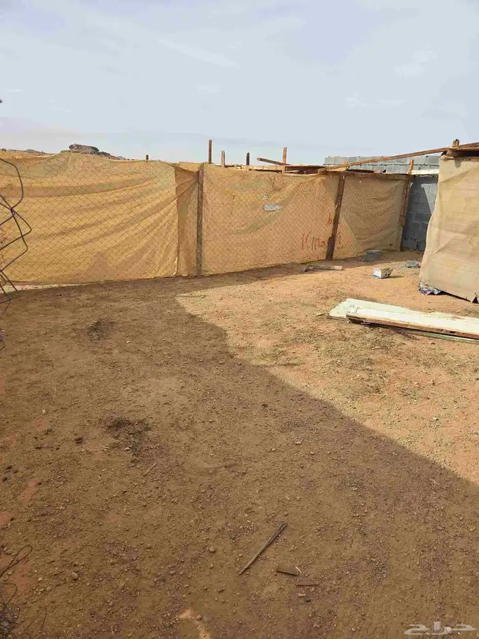 احواش غنم للجار 2