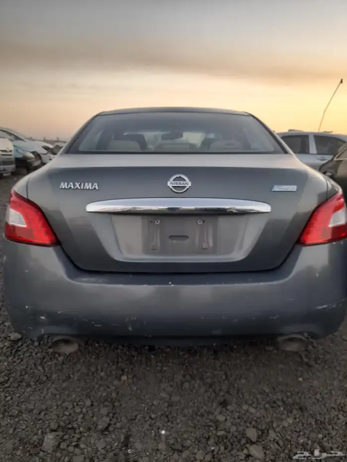 نيسان مكسيما 2010 2
