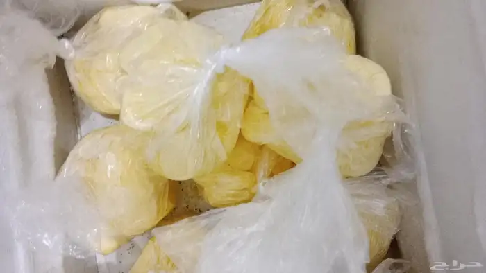 توجد لدينا زبده ماعز وغنم وبقر شرط نظيفه بلدي 5