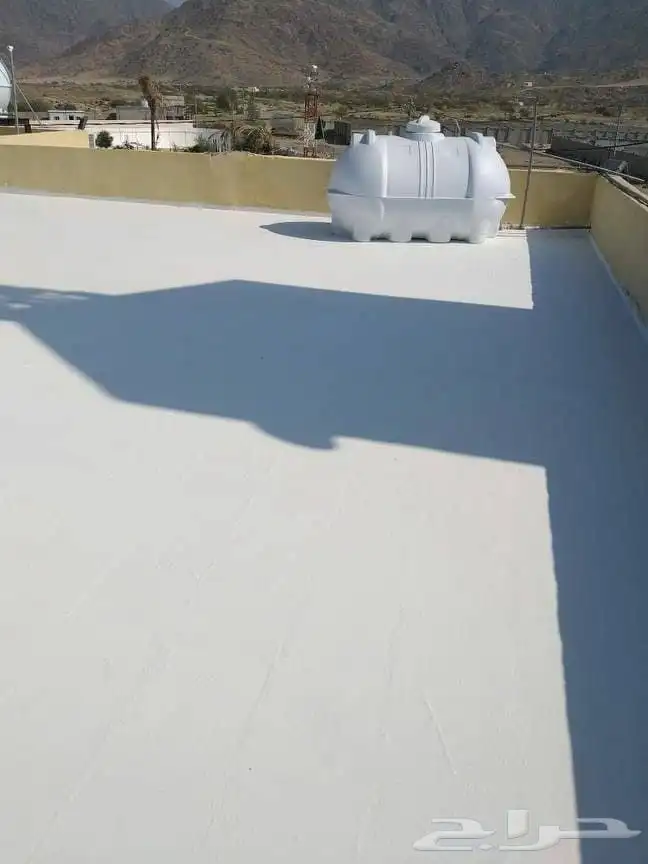 جوتن صباغ دهانات 2