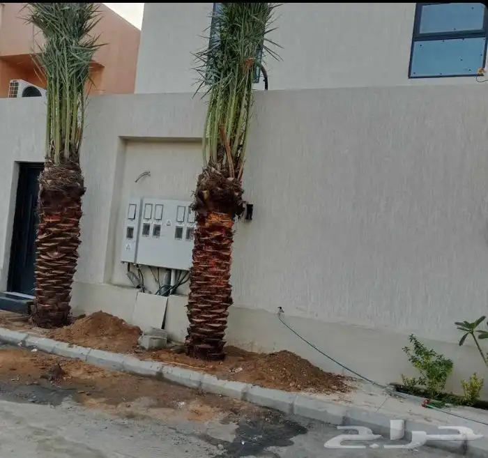 ابو علي لتوريد انخيل 1