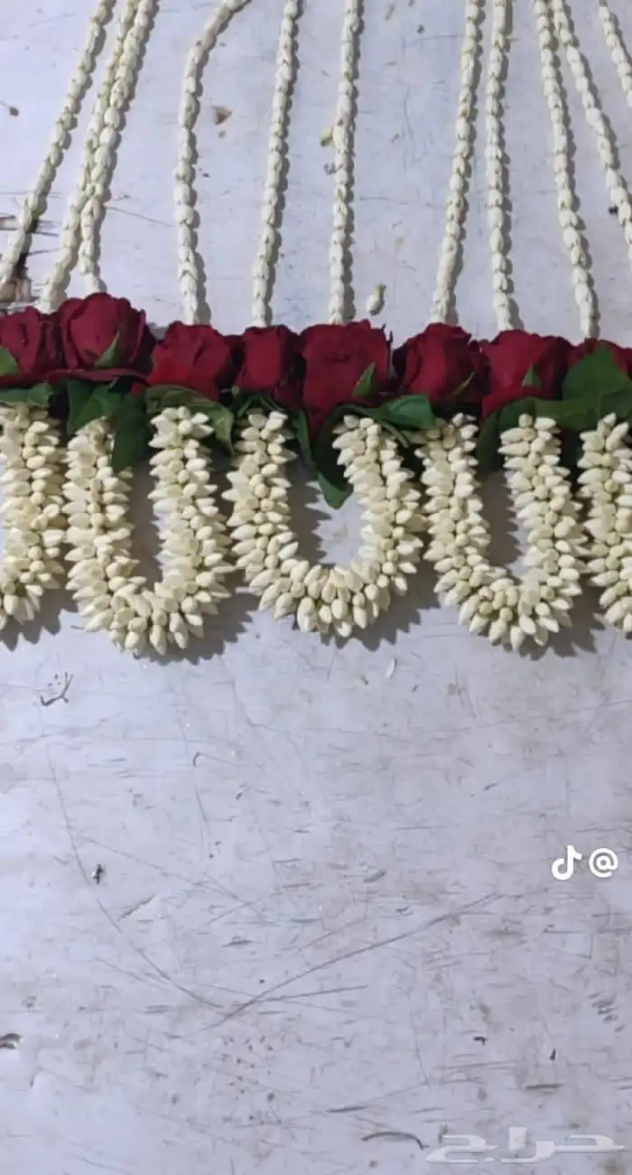 للفل البلدي 5