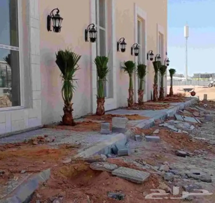 ابو علي التوريد انخيل 4