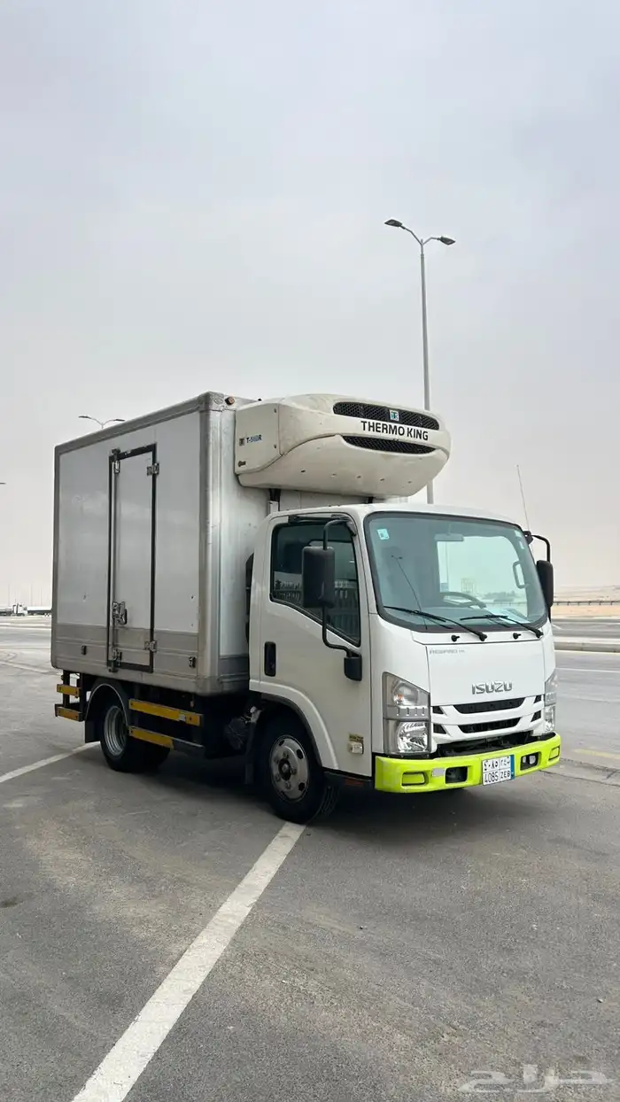 دينا ايسوزو 2022 ممشي 95 الف 3