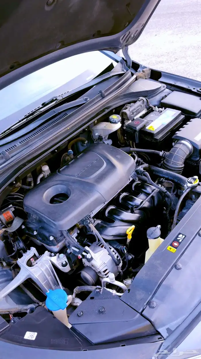 النترا 2019 22