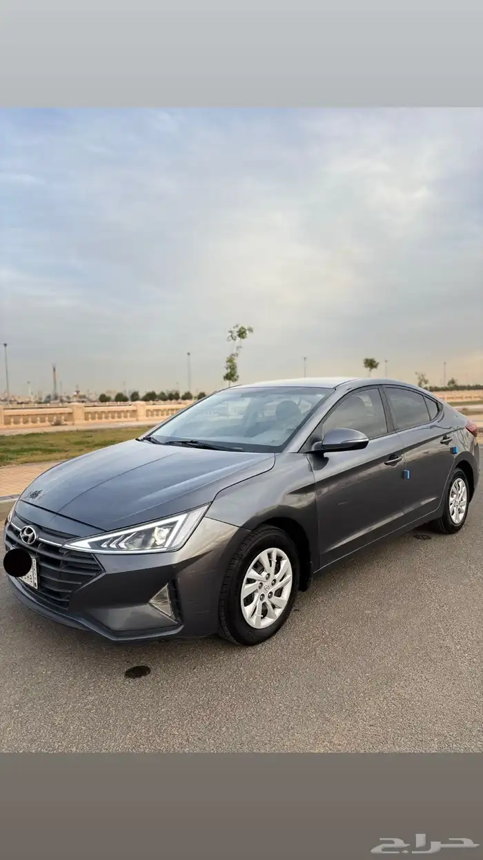 النترا 2019 18