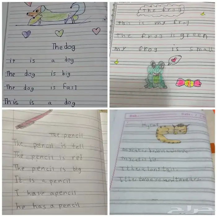 معلمة تأسيس القصيم بريدة حي الروضة 1