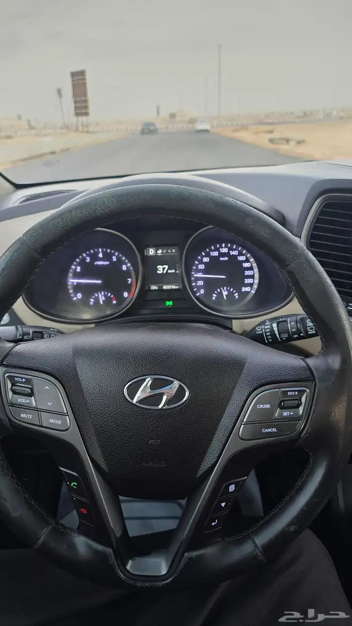 سنتافي مالك أول 2016 6