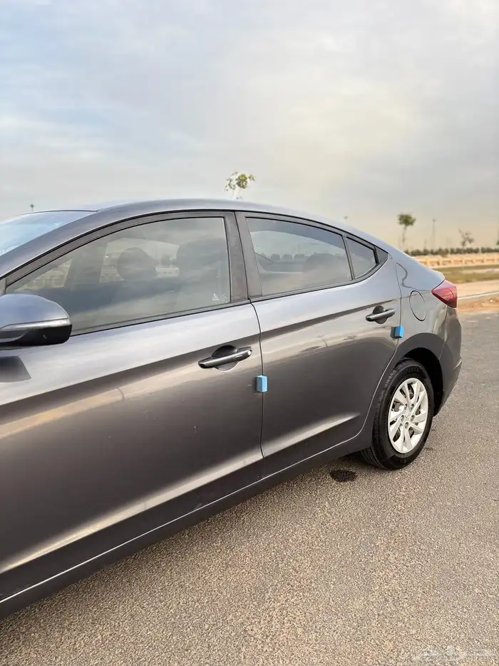 النترا 2019 43