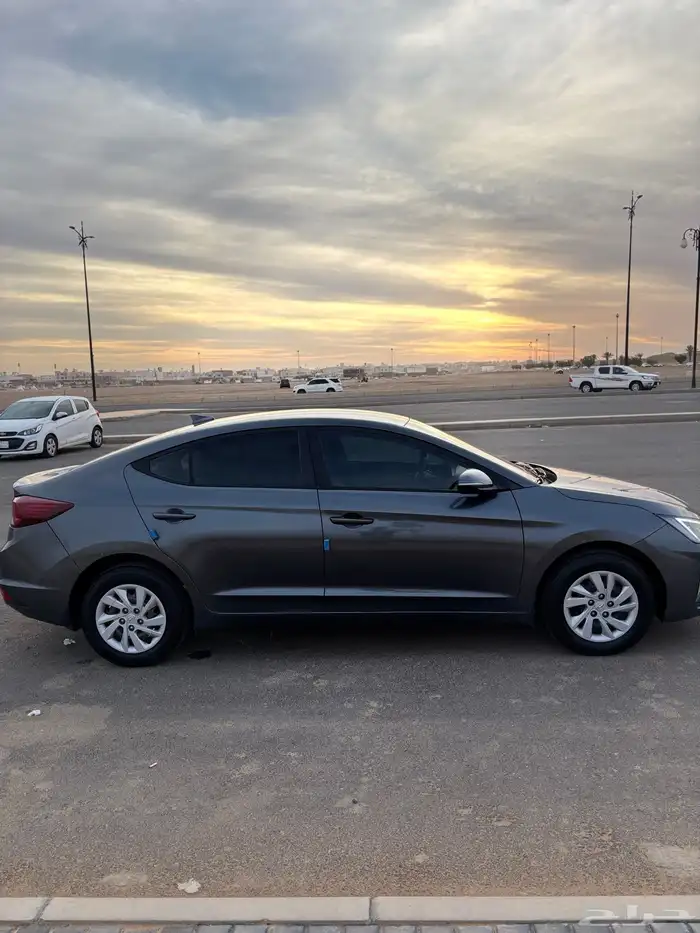 النترا 2019 46