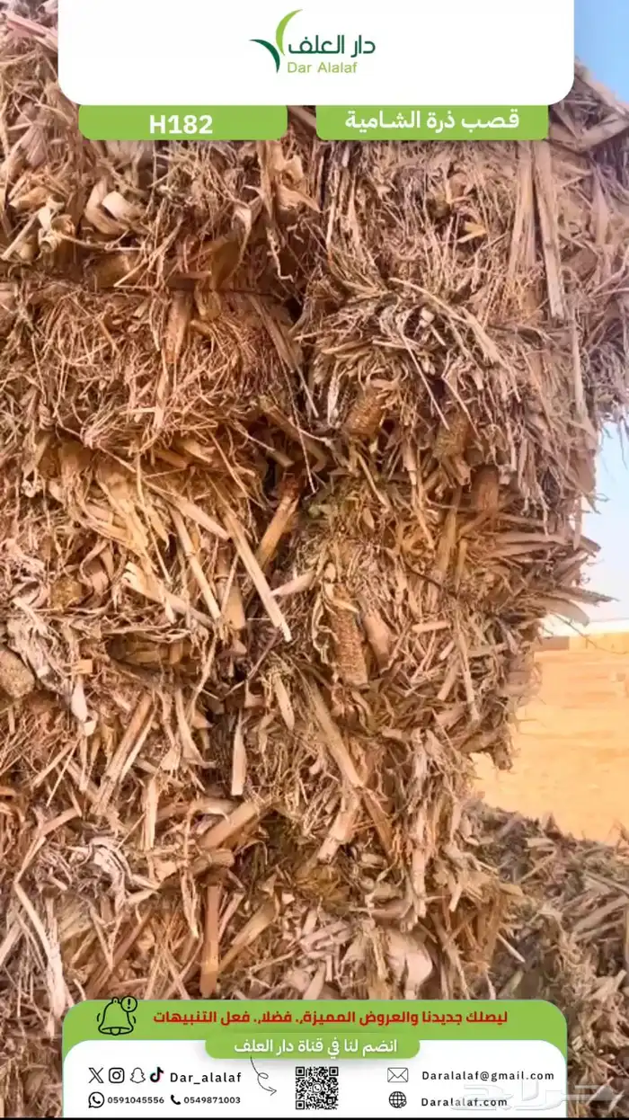 تريلة قصب ذرة مجانا 2