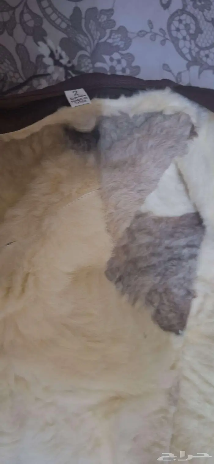 فروه طفاليه جديده 3