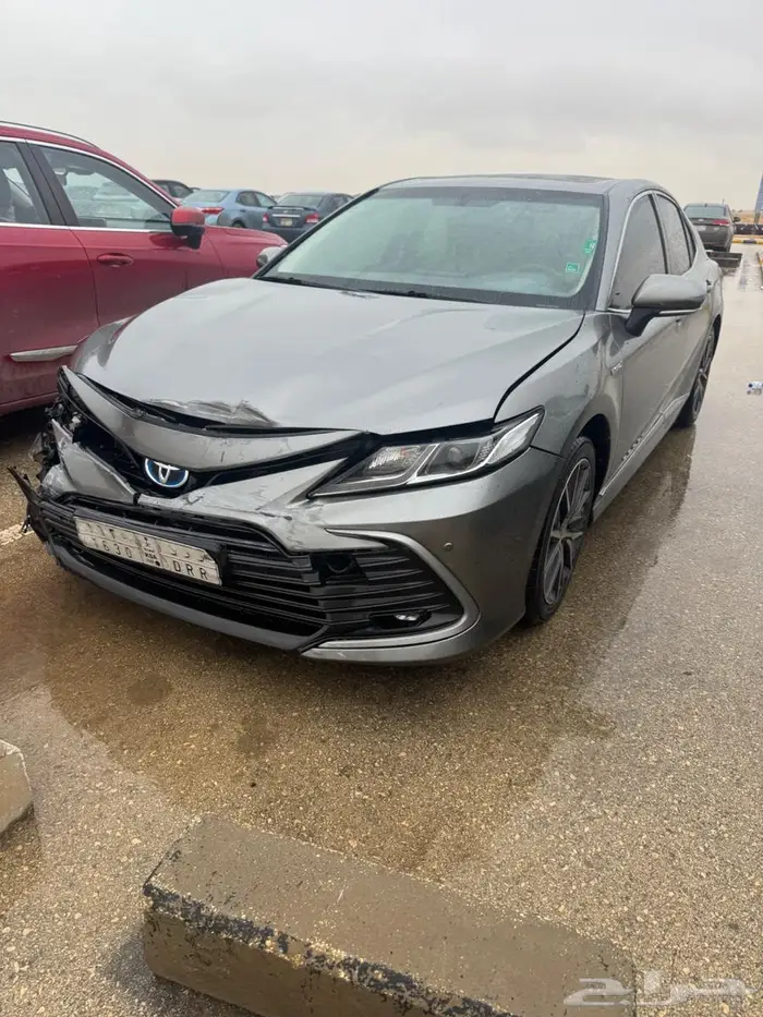 كبوت كامري للبيع 2023 تيتانيوم زيق يسار 1