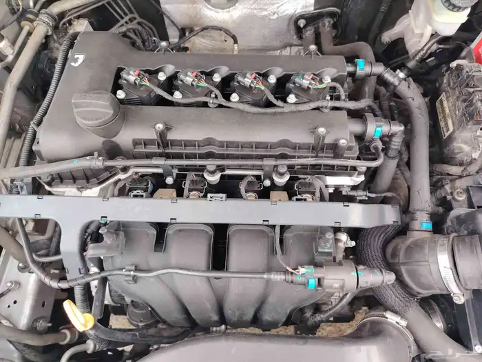 شيري اريزو 5 13