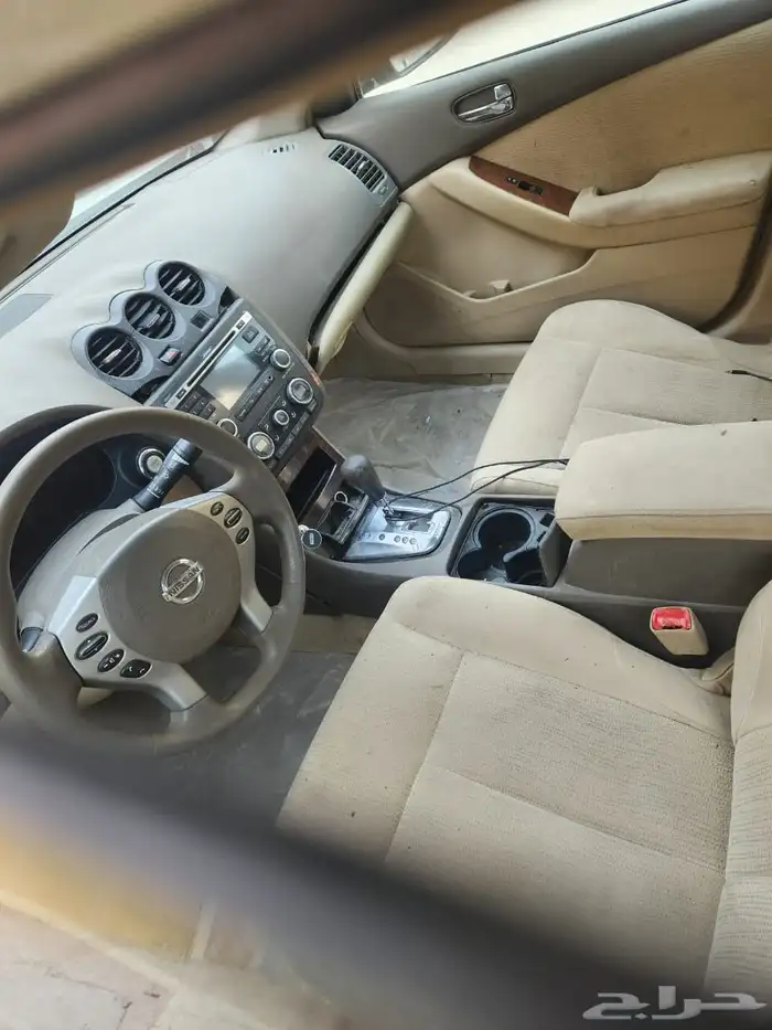 التيماء 2010 4