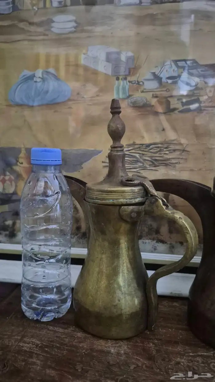 دلال قرشيات 7