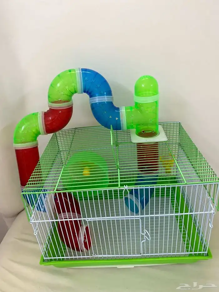 بيت هامستر للبيع 60 ريال مكه الشرائع مخطط2 1