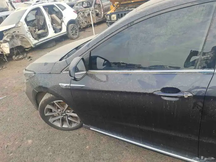 شيري اريزوا 6برو2023 3