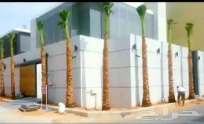 ابو علي التوريد انخيل 6