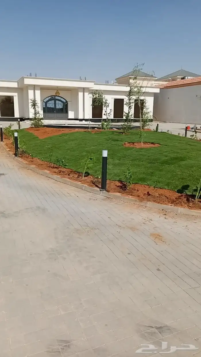 ثيل طبيعي C2000 فرنسي درجة أولى 8