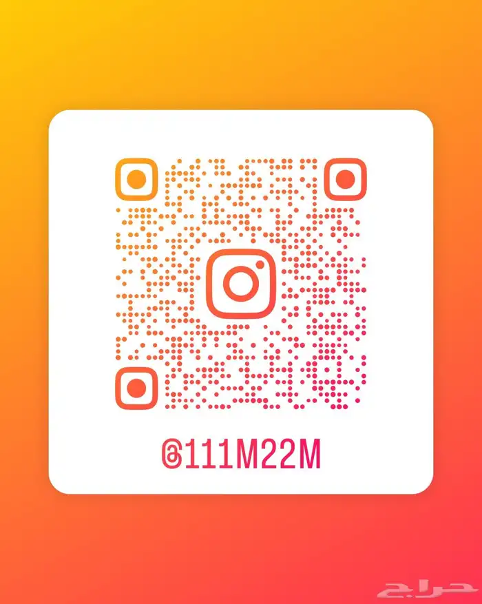 دجاج روز كامب مميز 4