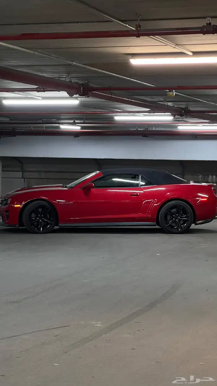 ZL1ZL1 كمارو2013 12