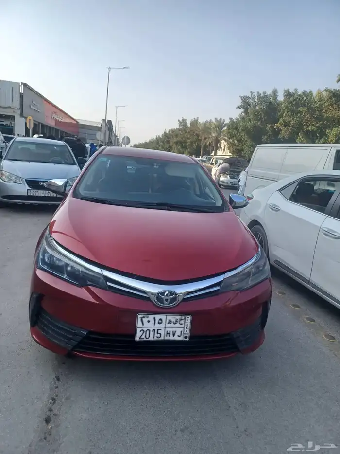 Gorilla alfain osamatash 1