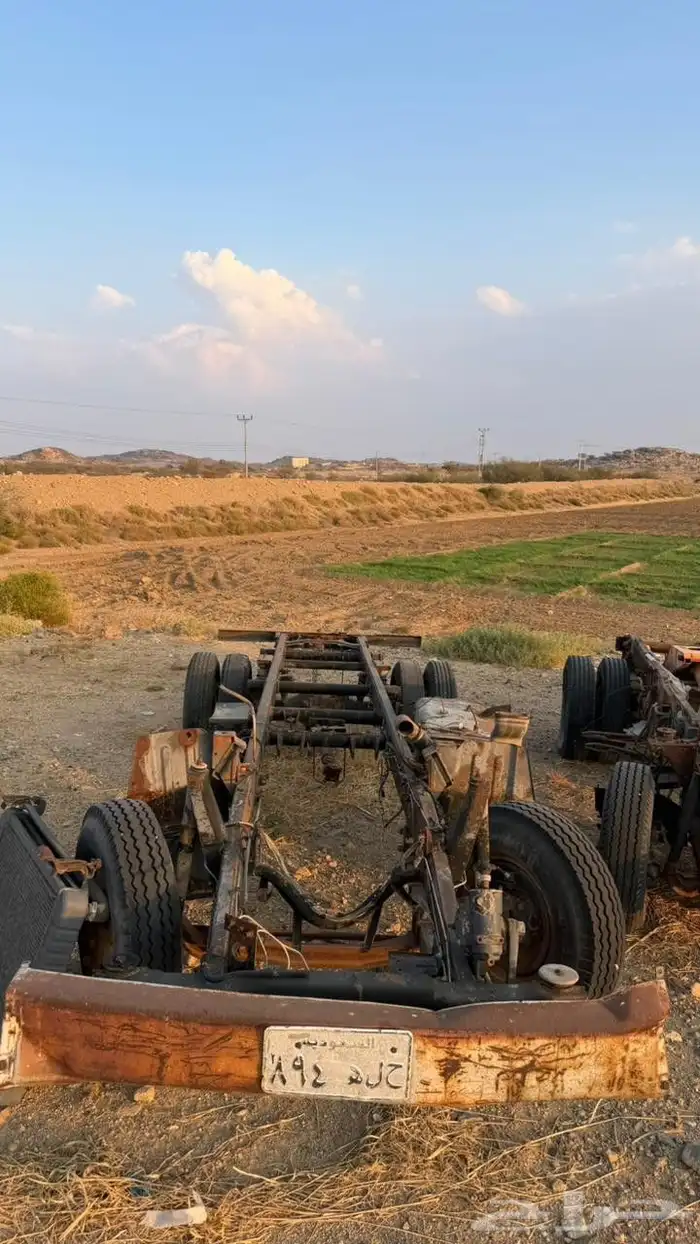 شاص دينا طول 5 63م لاصحاب الغرف 3