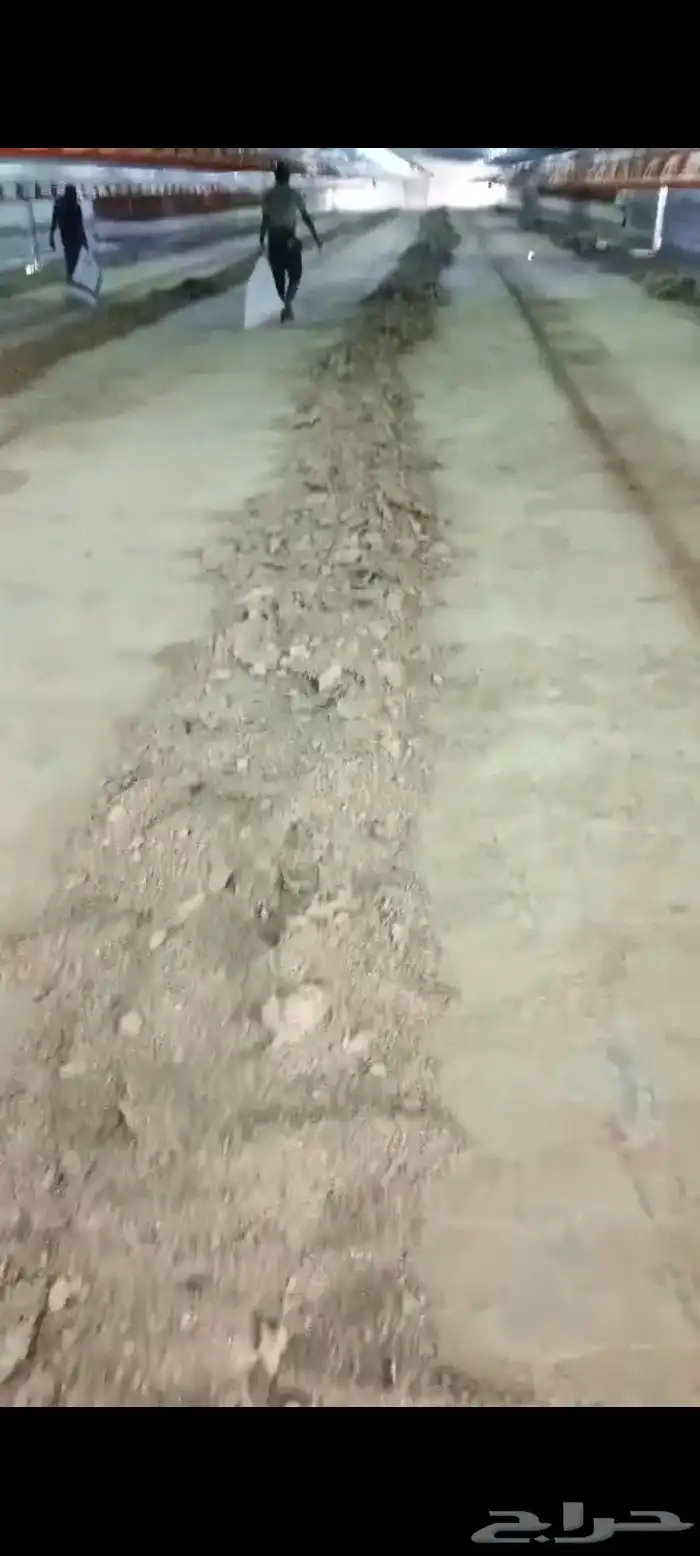 سماد دجاج لاحم لجميع انواع الزراعه والأشجار 2