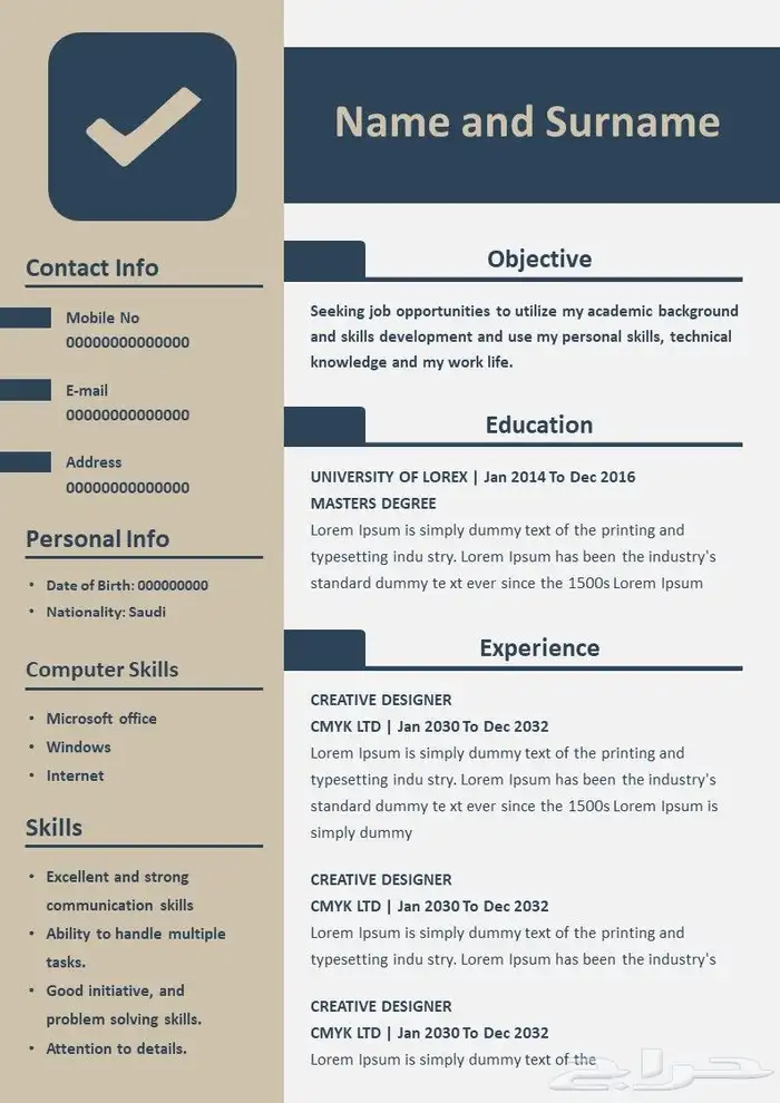 Professional CV in Arabic or English 1