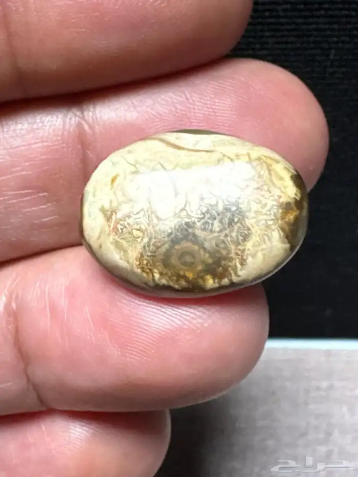 بافوري هندي مصور 9