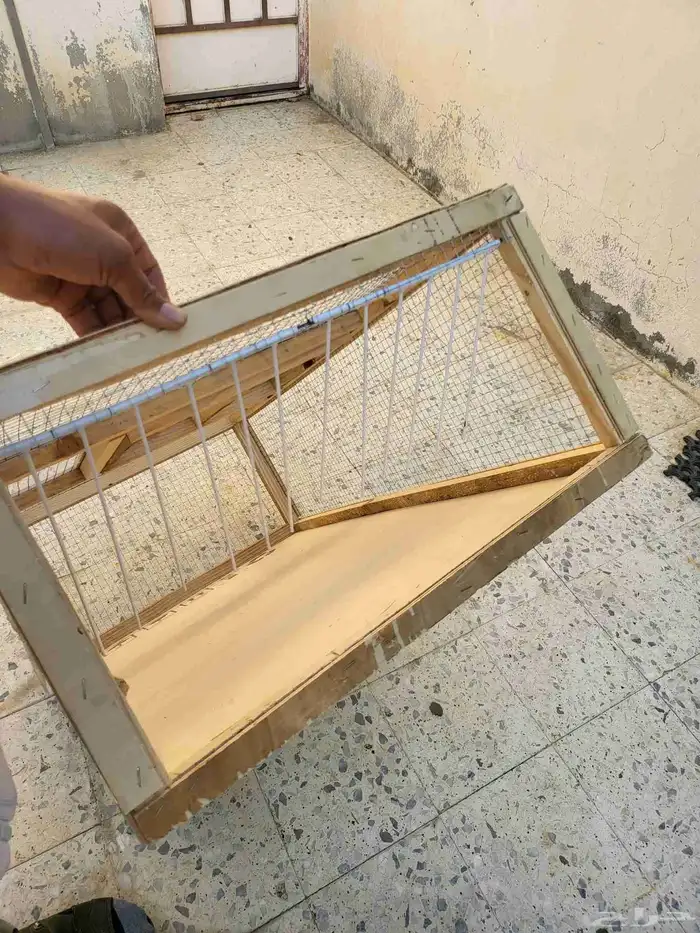 فخ او مص   يدة طيور وحيوانات 3