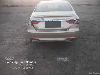 جلي بيري 2022 index