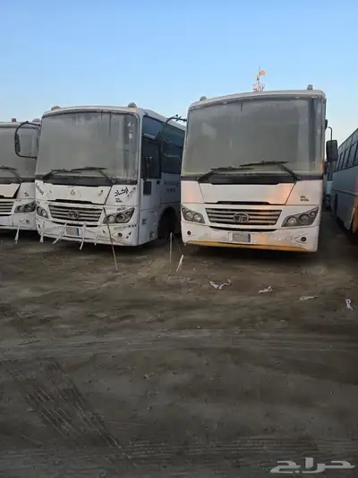 باصات كبيره 66راكب للبيع المستعجل index
