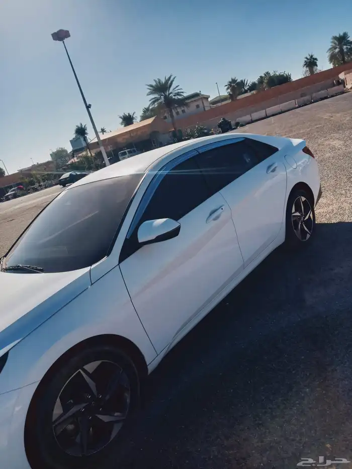 النترا وارد كوريا 2023 4