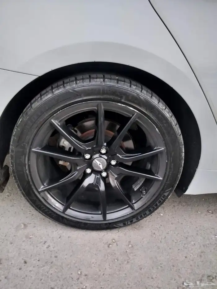 للبيع جنسس نظيفة جدا جاهزه 11