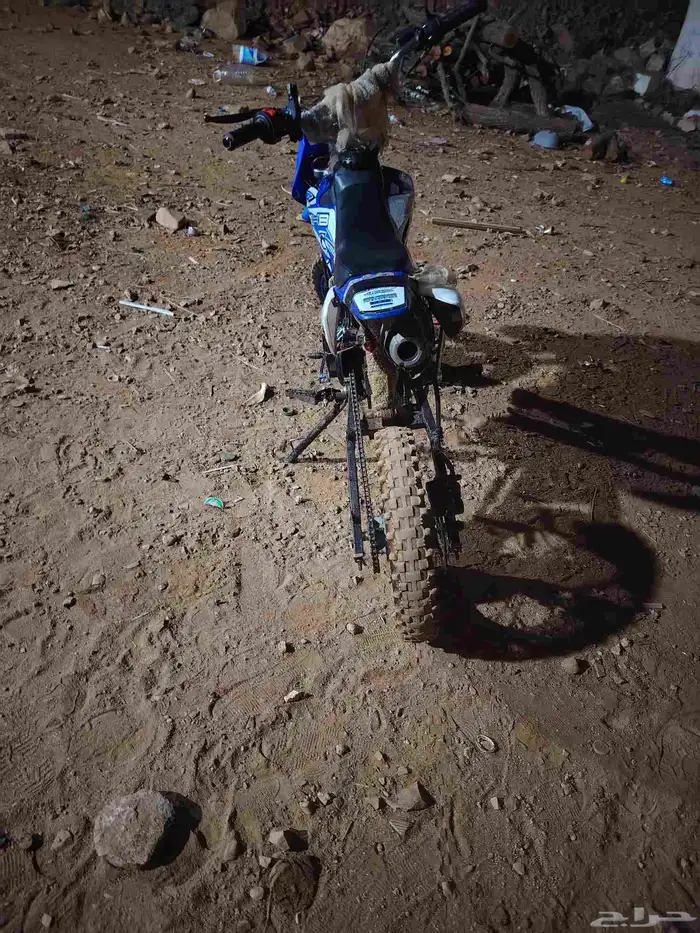 دباب صحرااوي 1