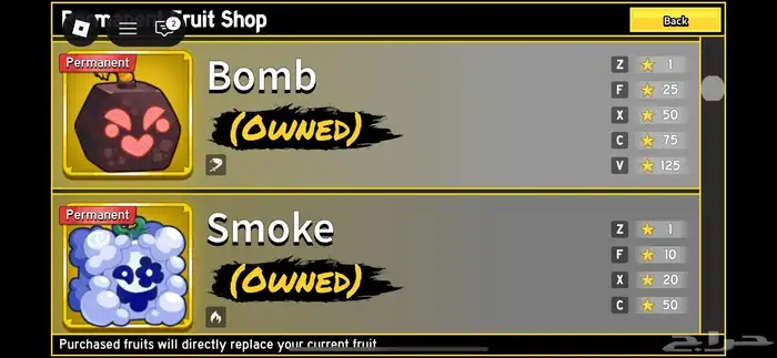 Legendary Blox Fruits Account for Sale 250 6