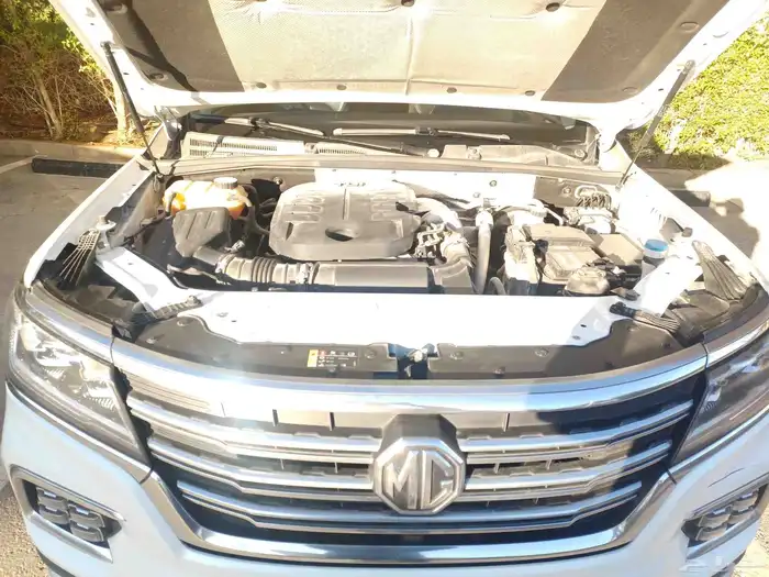 MG RX8 2020 65 800KM. FULL OPTION 14