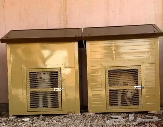 اقفاص للكلاب والحيوانات (اكواخ) 10