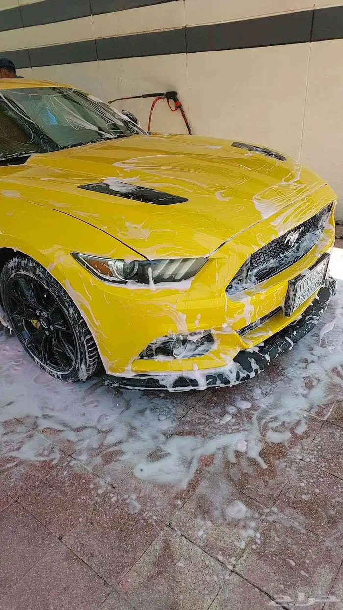 موستنج 2015 بريميوم 1