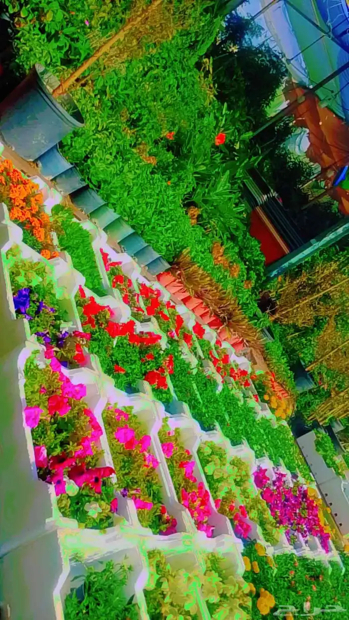 تنسيق حدائق 2