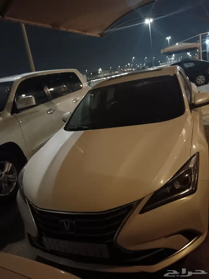 شنجان ايدو فل الفل 2021 1