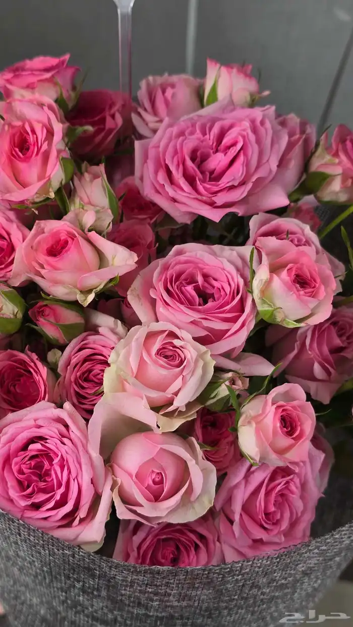 ورد مع كيك  كيك مع ورد 2