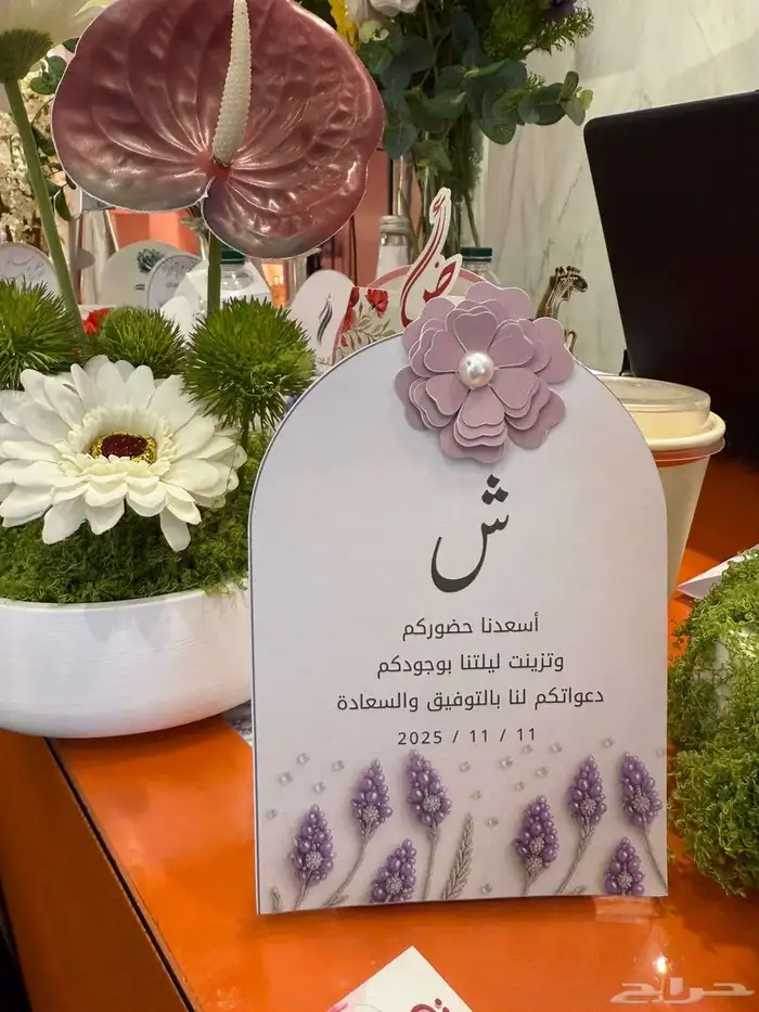 كوشة البارونة الطائف 5